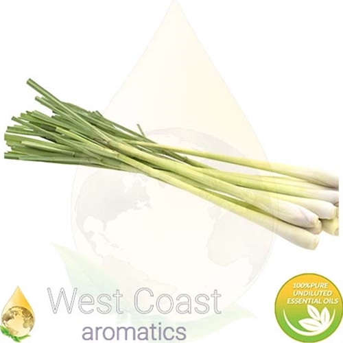 CITRONELLA Bulk Essential Oil West Coast Aromatics