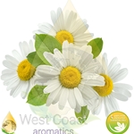 CHAMOMILE GERMAN BLUE (EGYPT)