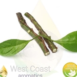 SANDALWOOD AMYRIS pure essential oil. Shop West Coast Aromatics Bulk, Wholesale at www.westcoastaromatics.com from reputable sources in the world. Try today. You'll Immediately Notice the Difference! ✓60 Day-Money Back.