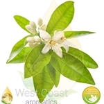 Neroli (Egypt)