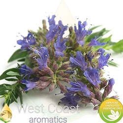 HYSSOP pure essential oil. Shop West Coast Aromatics Bulk, Wholesale at www.westcoastaromatics.com from reputable sources in the world. Try today. You'll Immediately Notice the Difference! ✓60 Day-Money Back.