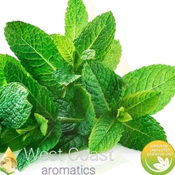 PEPPERMINT SUPREME pure essential oil. Shop West Coast Aromatics Bulk, Wholesale at www.westcoastaromatics.com from reputable sources in the world. Try today. You'll Immediately Notice the Difference! ✓60 Day-Money Back.