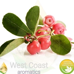 WINTERGREEN pure essential oil. Shop West Coast Aromatics Bulk, Wholesale at www.westcoastaromatics.com from reputable sources in the world. Try today. You'll Immediately Notice the Difference! ✓60 Day-Money Back.