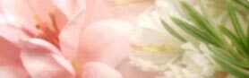 Floral essential oils aroma family