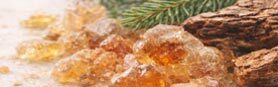 Resinous and musky essential oils aroma family
