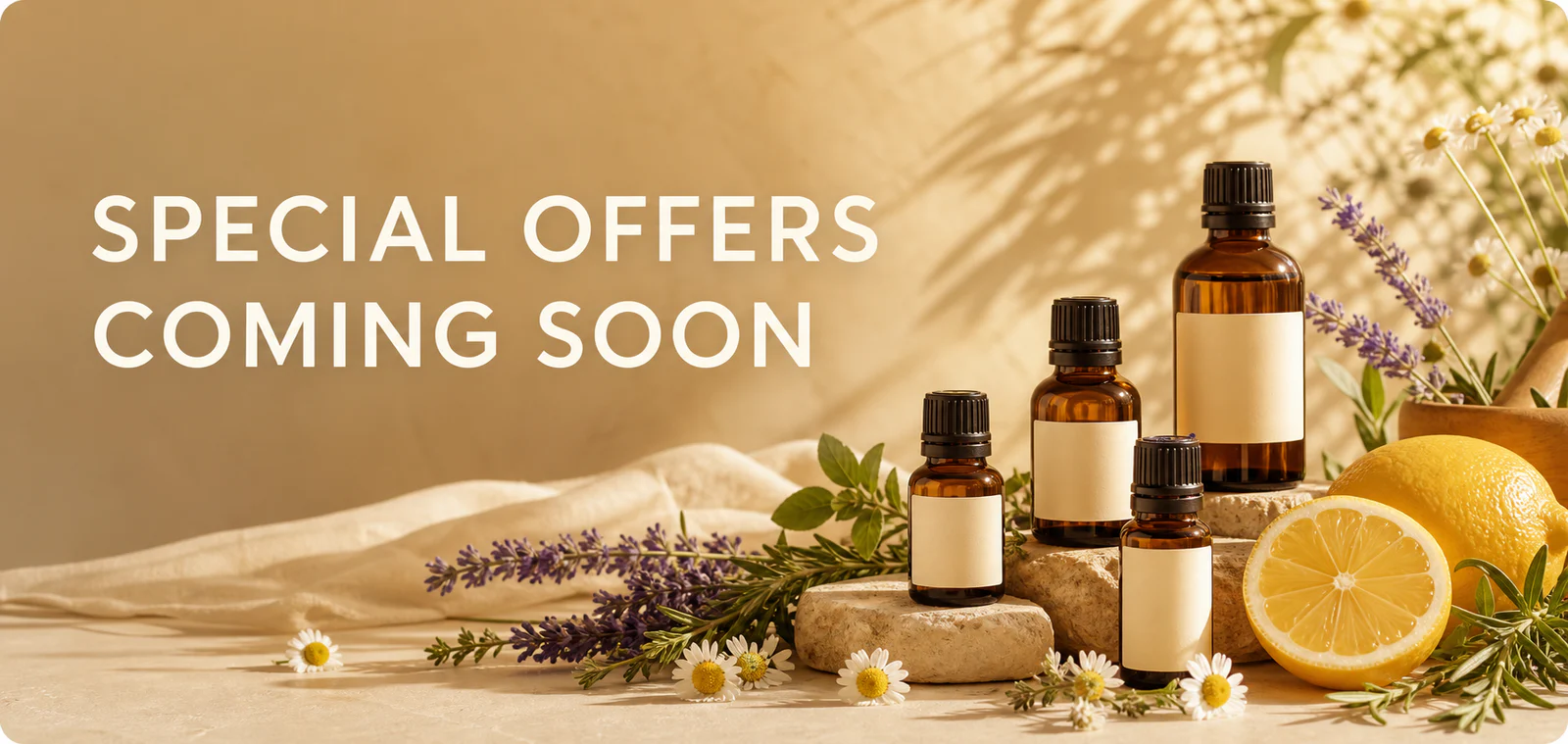 Special Offers Coming Soon